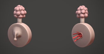 How to make a plumbus with Blender 2.8